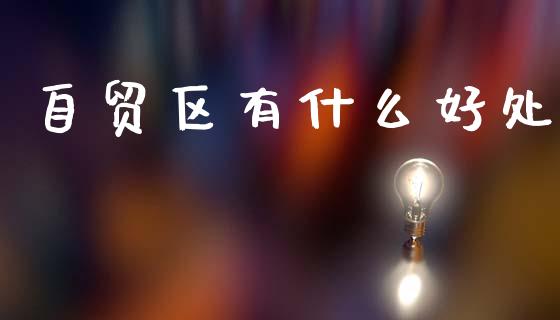 自贸区有什么好处_https://wap.lcpcjs.com_全球经济_第1张