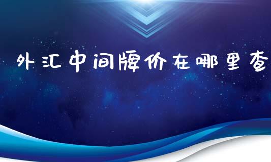 外汇中间牌价在哪里查_https://wap.lcpcjs.com_全球经济_第1张