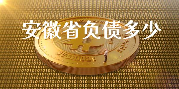 安徽省负债多少_https://wap.lcpcjs.com_外汇市场_第1张