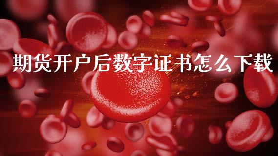期货开户后数字证书怎么下载_https://wap.lcpcjs.com_外汇市场_第1张