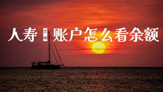 人寿鑫账户怎么看余额_https://wap.lcpcjs.com_股港行情_第1张