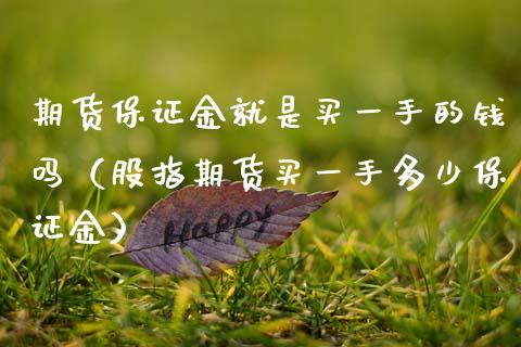 期货保证金就是买一手的钱吗（股指期货买一手多少保证金）_https://wap.lcpcjs.com_美股行情_第1张