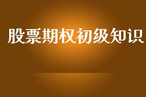 股票期权初级知识_https://wap.lcpcjs.com_美股行情_第1张