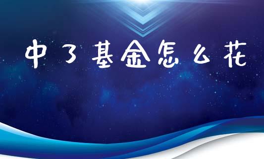 中了基金怎么花_https://wap.lcpcjs.com_全球经济_第1张
