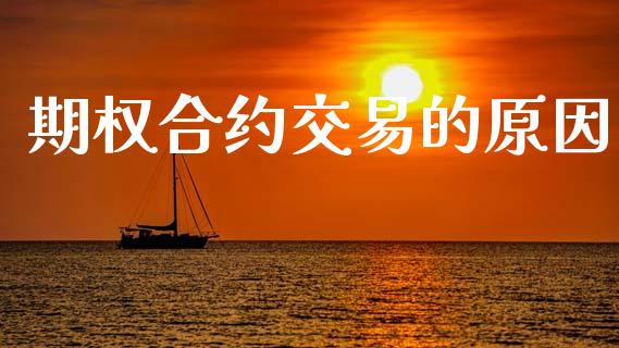期权合约交易的原因_https://wap.lcpcjs.com_美股行情_第1张