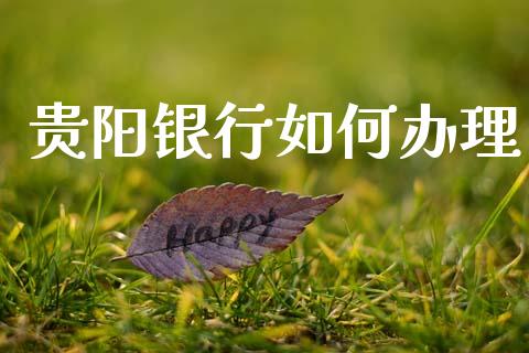 贵阳银行如何办理_https://wap.lcpcjs.com_外汇市场_第1张
