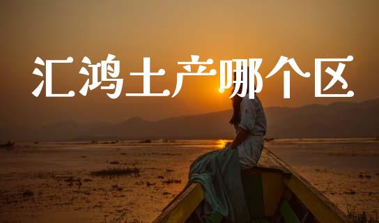 汇鸿土产哪个区_https://wap.lcpcjs.com_外汇市场_第1张
