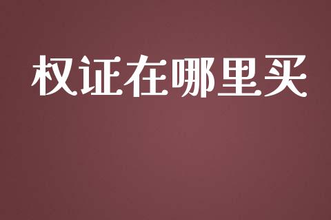 权证在哪里买_https://wap.lcpcjs.com_美股行情_第1张