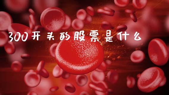 300开头的股票是什么_https://wap.lcpcjs.com_外汇市场_第1张