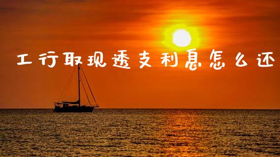 工行取现透支利息怎么还_https://wap.lcpcjs.com_美股行情_第1张