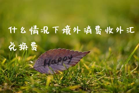 什么情况下境外消费收外汇兑换费_https://wap.lcpcjs.com_股港行情_第1张