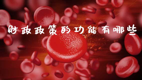 财政政策的功能有哪些_https://wap.lcpcjs.com_全球经济_第1张