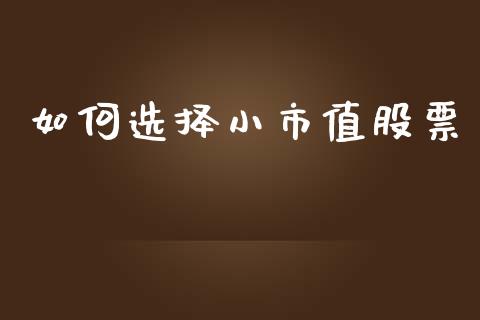 如何选择小市值股票_https://wap.lcpcjs.com_股港行情_第1张