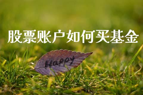 股票账户如何买基金_https://wap.lcpcjs.com_股港行情_第1张