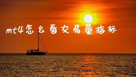mt4怎么看交易量指标_https://wap.lcpcjs.com_股港行情_第1张