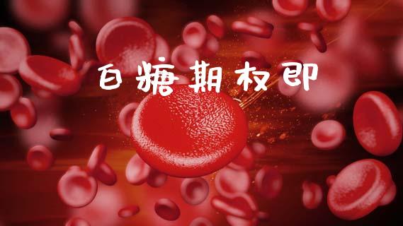 白糖期权即_https://wap.lcpcjs.com_全球经济_第1张