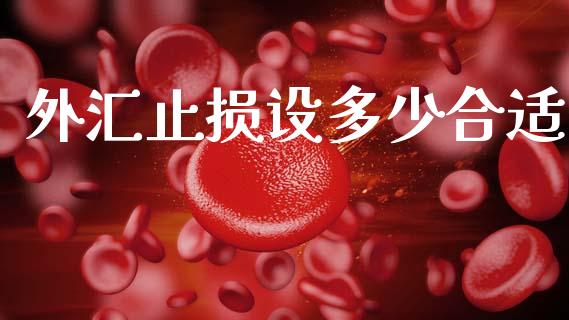 外汇止损设多少合适_https://wap.lcpcjs.com_全球经济_第1张
