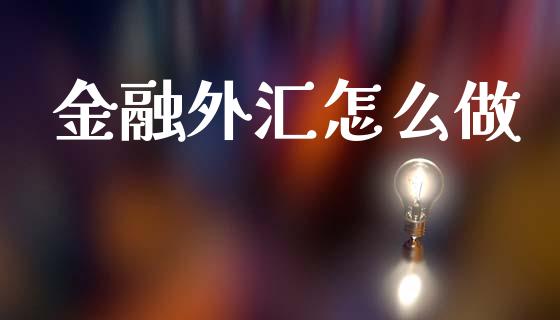 金融外汇怎么做_https://wap.lcpcjs.com_股港行情_第1张