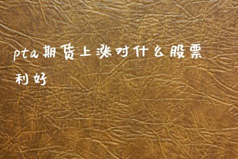 pta期货上涨对什么股票利好_https://wap.lcpcjs.com_外汇市场_第1张