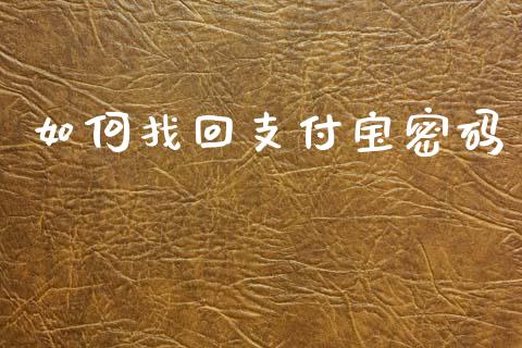 如何找回支付宝密码_https://wap.lcpcjs.com_美股行情_第1张