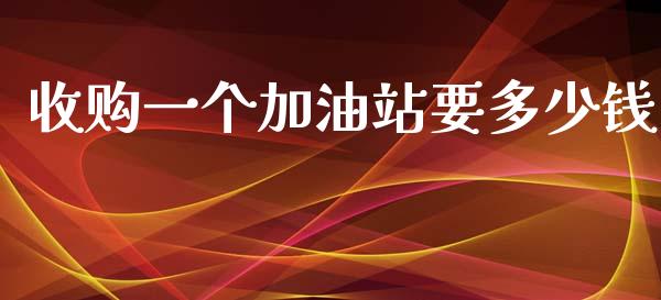 收购一个加油站要多少钱_https://wap.lcpcjs.com_外汇市场_第1张