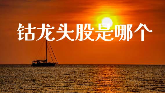 钴龙头股是哪个_https://wap.lcpcjs.com_美股行情_第1张