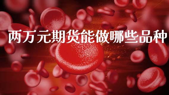 两万元期货能做哪些品种_https://wap.lcpcjs.com_外汇市场_第1张