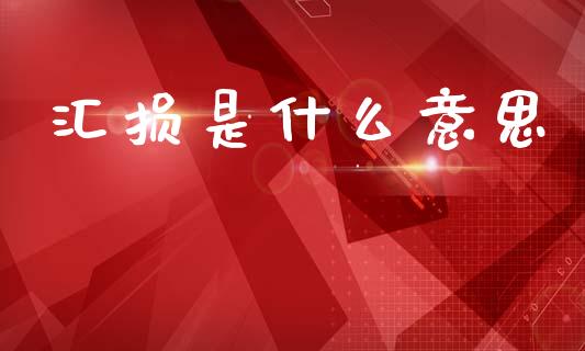 汇损是什么意思_https://wap.lcpcjs.com_外汇市场_第1张