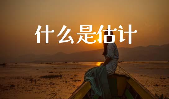 什么是估计_https://wap.lcpcjs.com_外汇市场_第1张