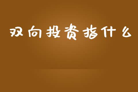 双向投资指什么_https://wap.lcpcjs.com_全球经济_第1张