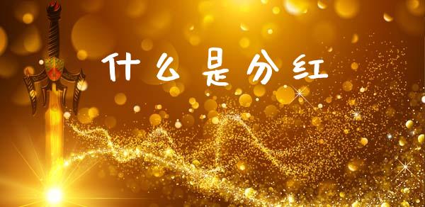什么是分红_https://wap.lcpcjs.com_外汇市场_第1张